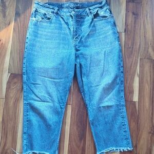 American Eagle Outfitters Blue Mom Jeans Size 14 Short
